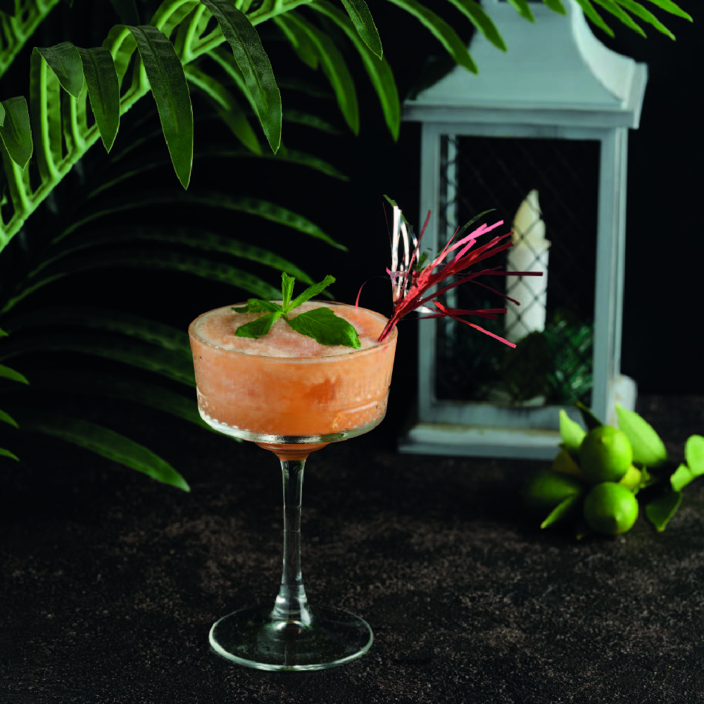 Frozen Kavunlu 90 TL